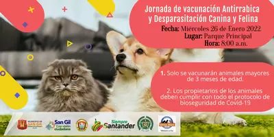 Jornada de vacunación antirrábica y desparasitación canina y felina