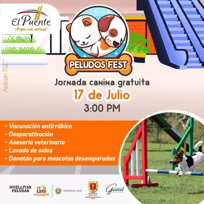 Peludos Fest Jornada canina gratuita