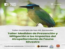 Taller medidas de prevención y mitigación a los impactos del atropellamiento de fauna silvestre