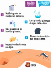 Sin criaderos no hay dengue