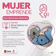 Curso nivel básico de foamy