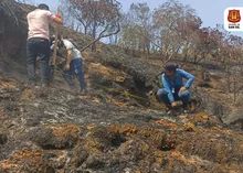 Se inició la preparación del terreno del incendio en la vereda Los Pozos Bajo