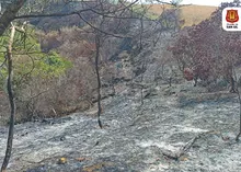 Se inició la preparación del terreno del incendio en la vereda Los Pozos Bajo