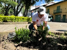 con sembratón san gil, conmemoró el día nacional del árbol