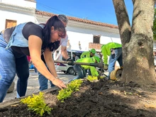 con sembratón san gil, conmemoró el día nacional del árbol