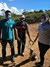 Labor de esterilización canina y felina Vereda Chapala