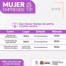 Cursos abiertos