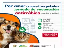 Jornada de vacunación antirrábica canina y felina