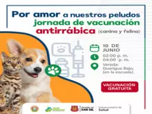 Jornada de vacunación antirrábica canina y felina Vereda Guarigua Bajo