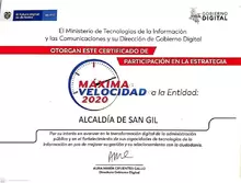 Participación Máxima Velocidad 2020