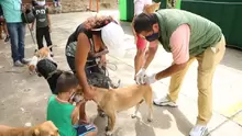 Se realiza con éxito jornada de vacunación Canina y Felina