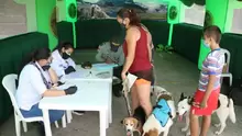 Se realiza con éxito jornada de vacunación Canina y Felina