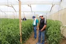 Visita a la Vereda el Llano Finca la Meseta del Municipio de Barichara