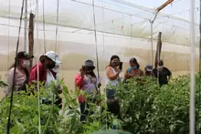 Visita a la Vereda el Llano Finca la Meseta del Municipio de Barichara