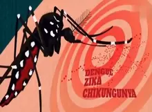 Campaña de prevención contra enfermedades por vectores como Dengue, Chikungunya y Zika