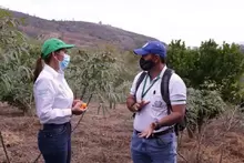 Se realizó taller para mitigar la presencia de la enfermedad HLB en cítricos