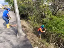 Jornada de Poda, Macaneo y Limpieza