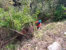 Jornada de Poda, Macaneo y Limpieza