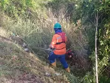 Jornada de Poda, Macaneo y Limpieza