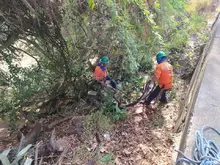 Jornada de Poda, Macaneo y Limpieza