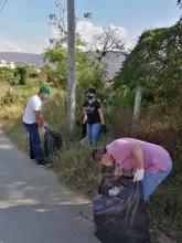 Jornada de limpieza en la Avenida 19