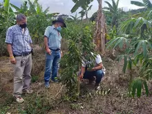 Se realizó día de campo para continuar con la mitigación de HLB en nuestro Municipio