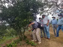 Se realizó día de campo para continuar con la mitigación de HLB en nuestro Municipio 3