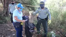 Una nueva jornada de aseo y socialización