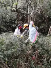 Campaña de aseo y limpieza de residuos sólidos por la ribera del río Fonce