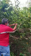 Campaña El Campo está en Ti en Fundación MARILLAC