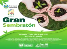 Gran Sembratón