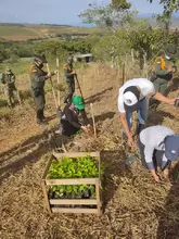 Se cumplió con éxito la jornada denominada Gran Sembraton