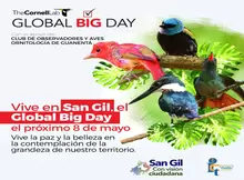 Global Big Day