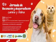 Jornada de vacunación y desparasitación canina y felina