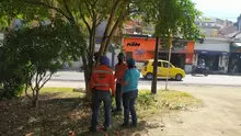 Se realiza nuevamente una limpieza en el sector Malecón