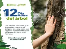 Octubre 12 Día Mundial del Árbol