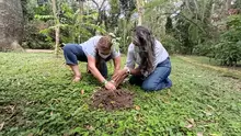 Se realizó siembra de árboles en el Parque Natural el Gallineral