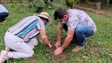 Se realizó siembra de árboles en el Parque Natural el Gallineral