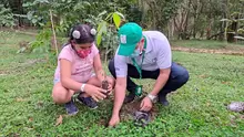 Se realizó siembra de árboles en el Parque Natural el Gallineral