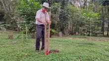 Se realizó siembra de árboles en el Parque Natural el Gallineral