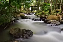 Gallineral - quebrada