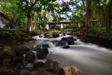 Gallineral - quebrada