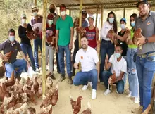 Entrega de gallinas 450 ponedoras a 4 Asociaciones Rurales