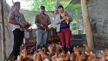 Entrega de gallinas 450 ponedoras a 4 Asociaciones Rurales