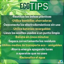 Día Mundial de la Ecología