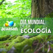 Día Mundial de la Ecología