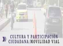 Encuesta Cultura y Participación Ciudadana