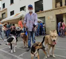 Excelente acogida se dio durante la Primera Jornada de Vacunación