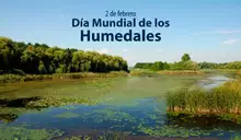 Día Mundial de los Humedales