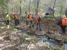 Día Mundial de los Humedales